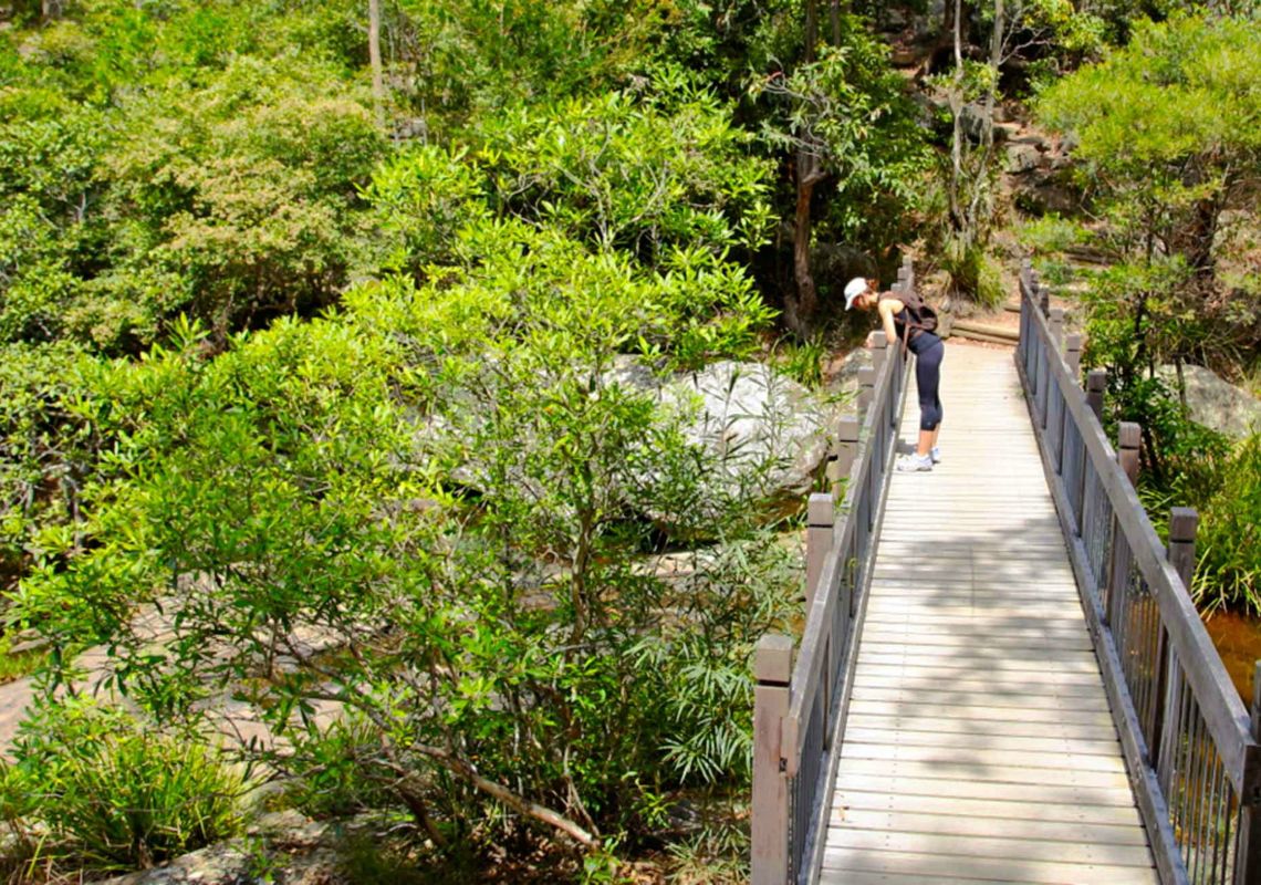 The Best Hikes & Walks In Newcastle | VisitNSW.com